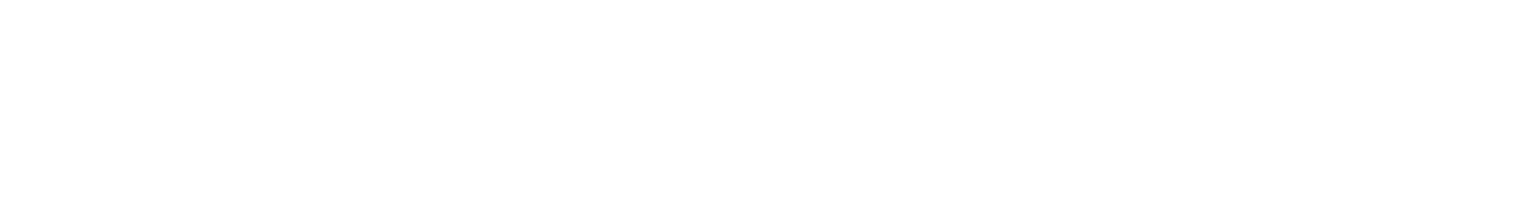 2024-01-ADN-Microsoft-Solutions-Partner-white